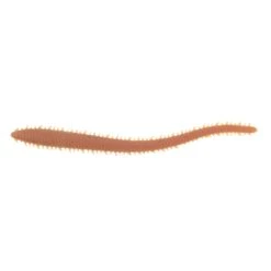 Berkley Gulp Sandworm 6" Soft Plastics