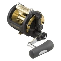Shimano TLD 2 Speed Reel
