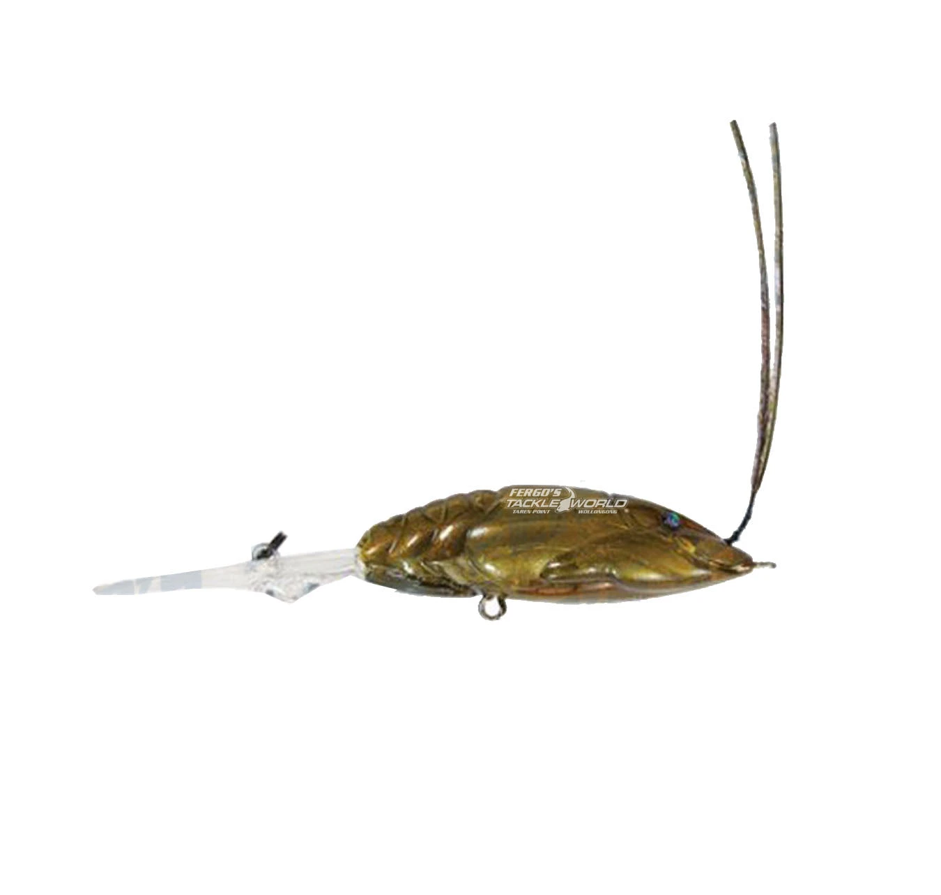 Megabass X-Dad - Image 8